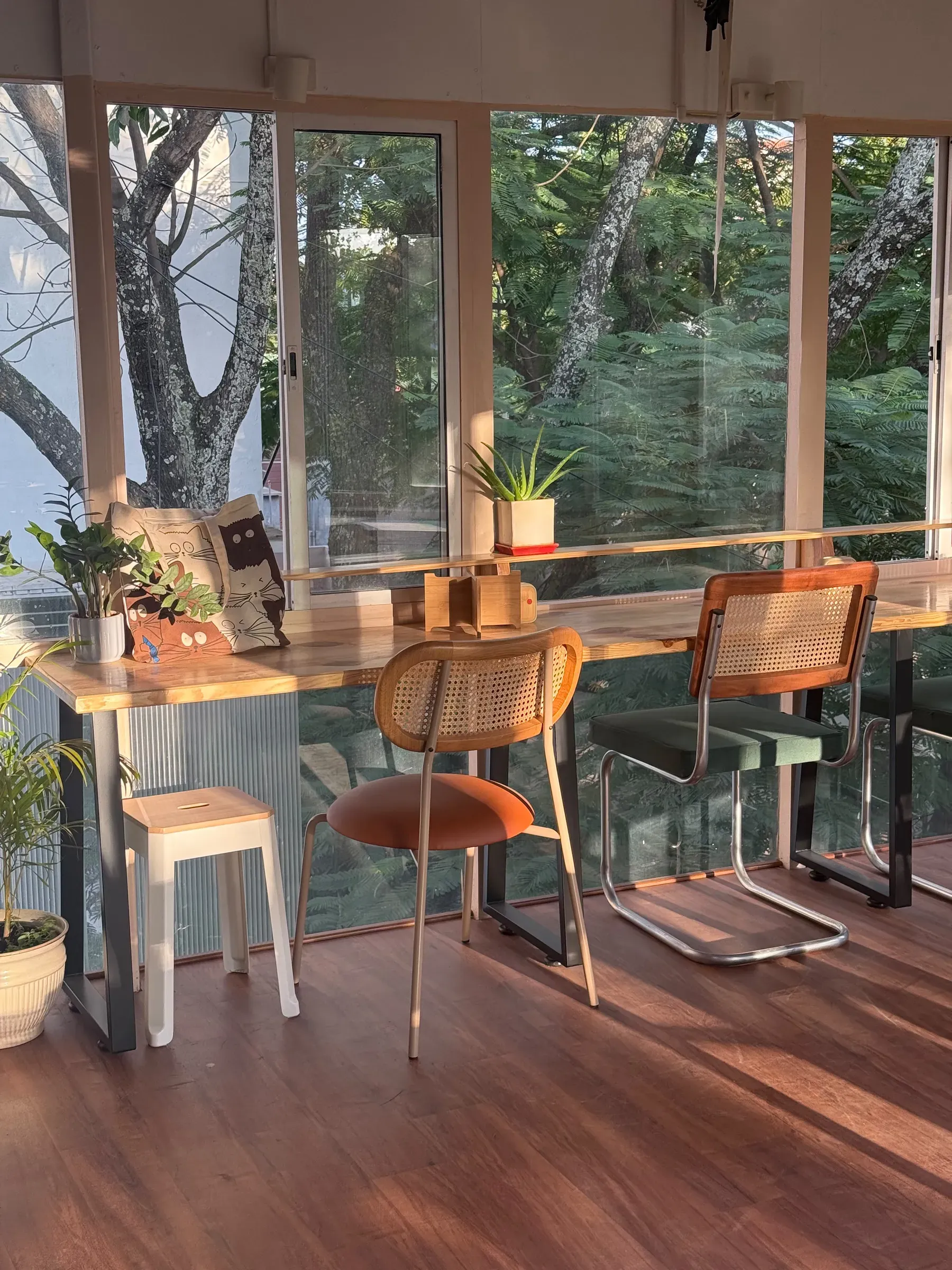 Counter seats with rattan chairs facing tree trunks and a wall of green
