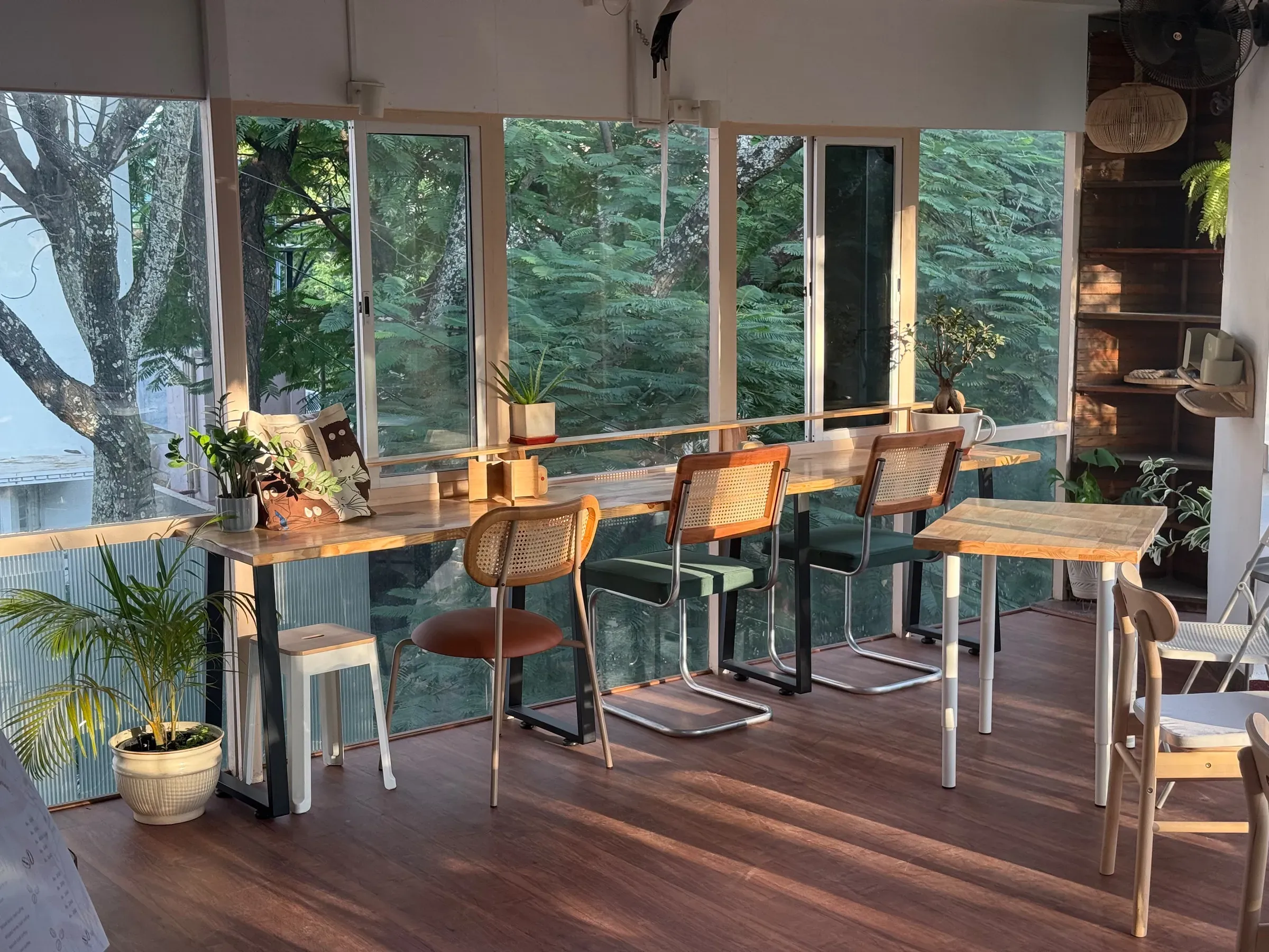 Window counter lined with rattan and velvet chairs, looking straight into the tree canopy