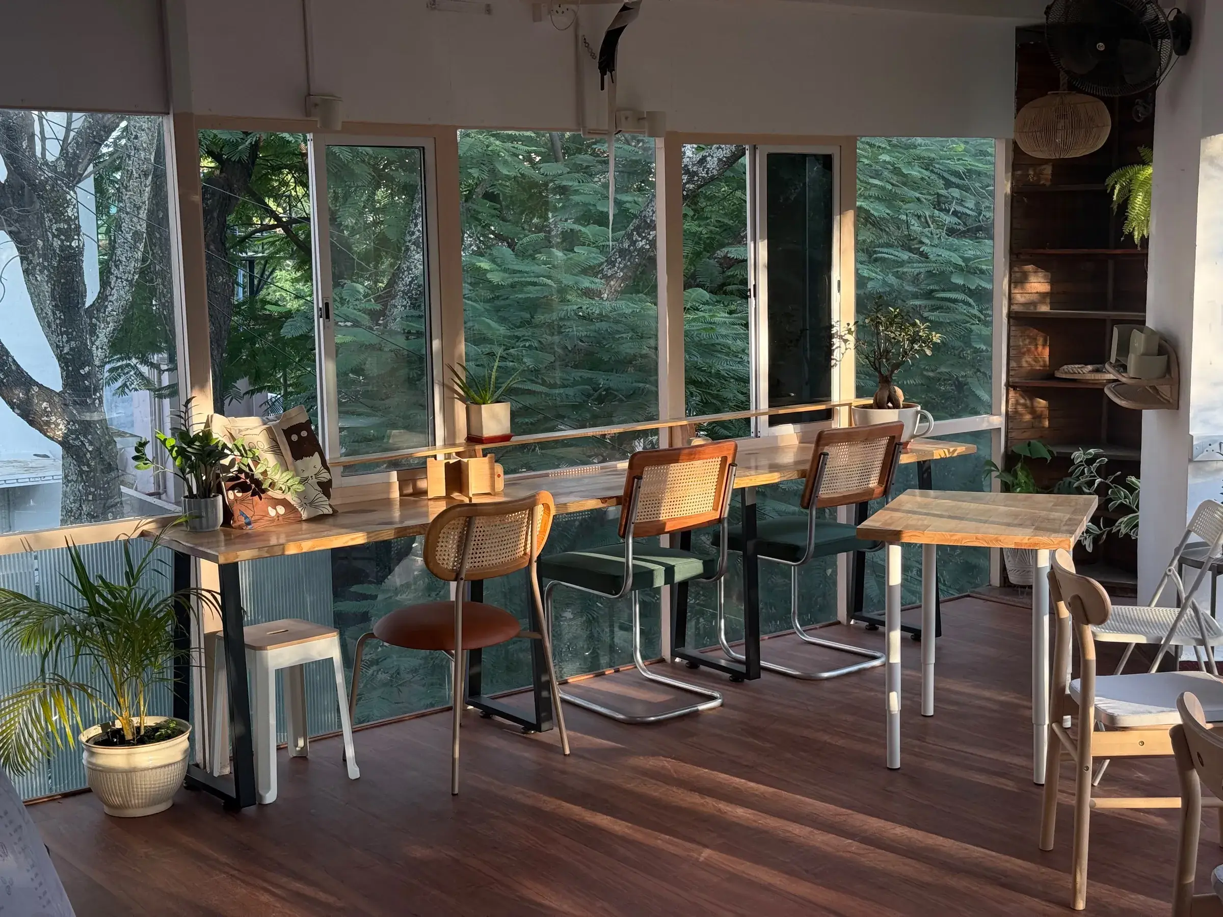 A row of rattan chairs at a wooden counter with potted plants, trees beyond the glass