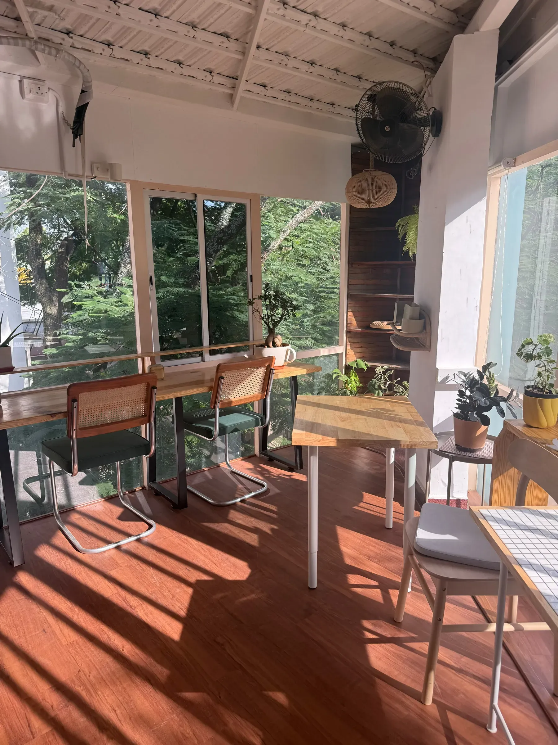 Long window shadows across the terracotta wood floor, rattan chairs along the glass