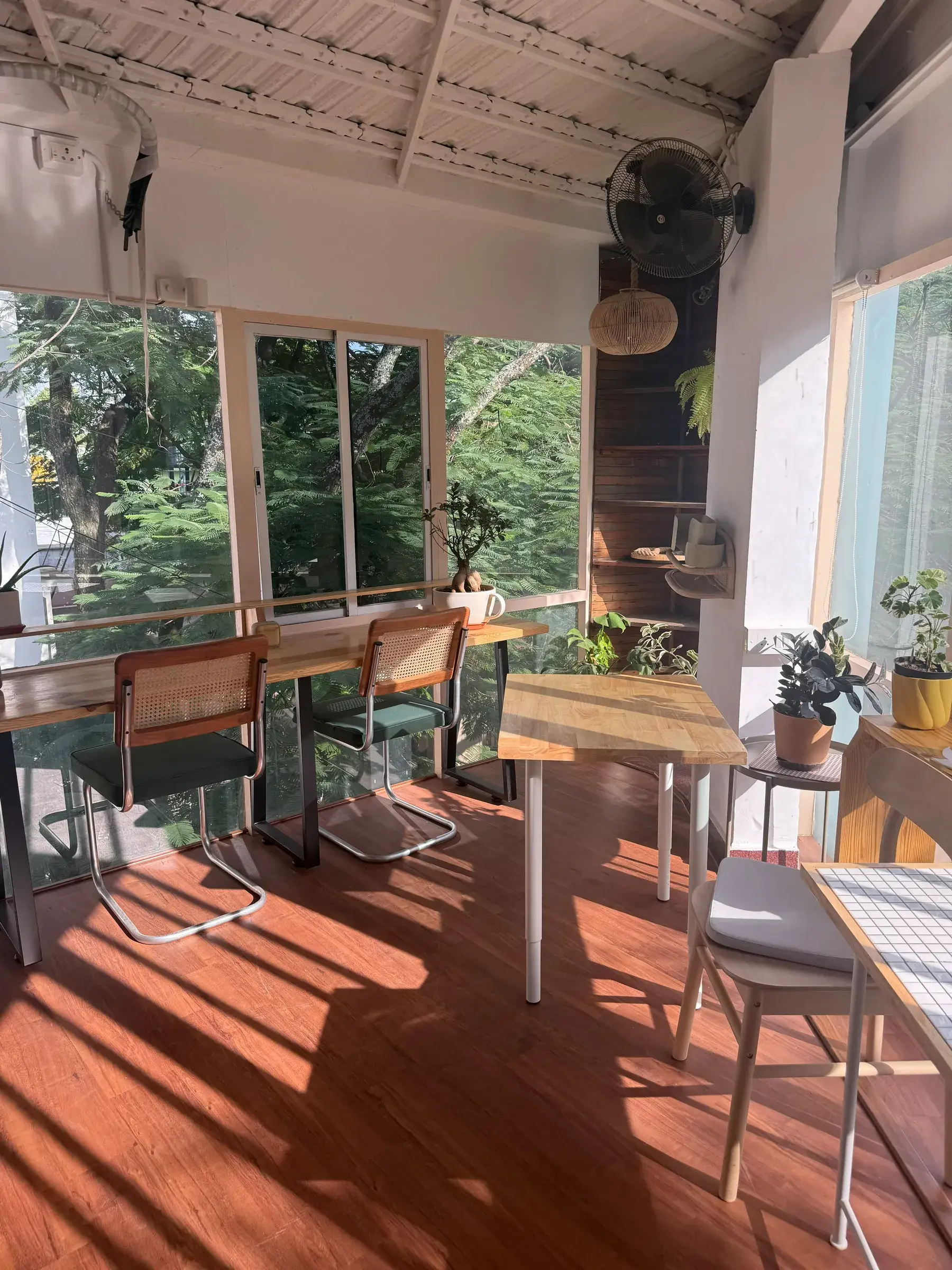 Long window shadows across the terracotta wood floor, rattan chairs along the glass