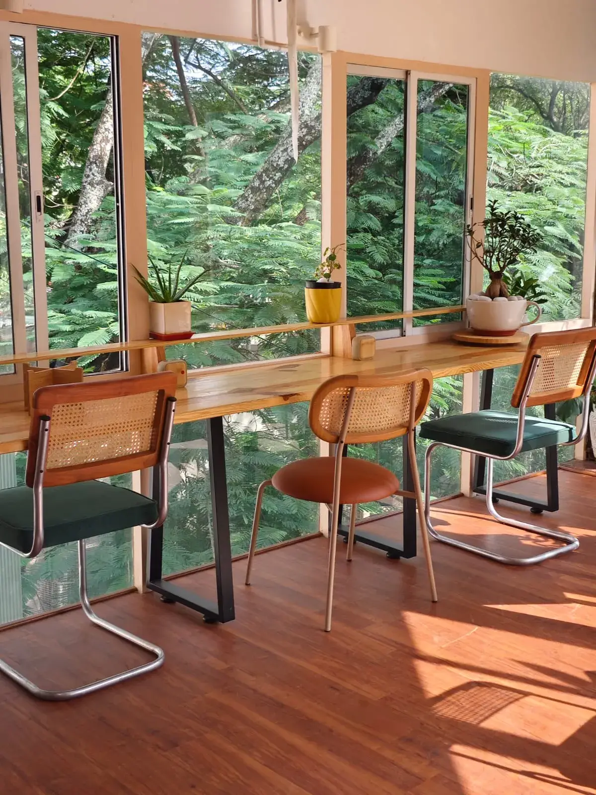 Sunlit window desk with green velvet and rattan chairs and small plants on the sill